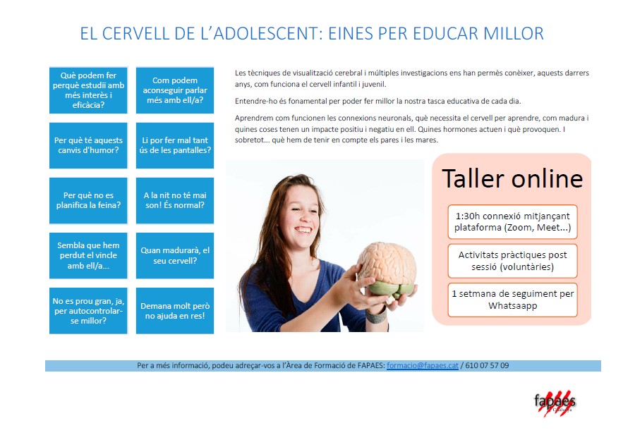 xerrada cervell adolescent